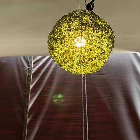 Rukmani Villas Group Of Rukmani Home Stay Mathura Bagian luar foto